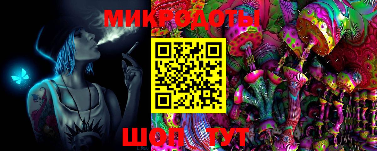 Псилоцибиновые грибы Psilocybe Рыбинск